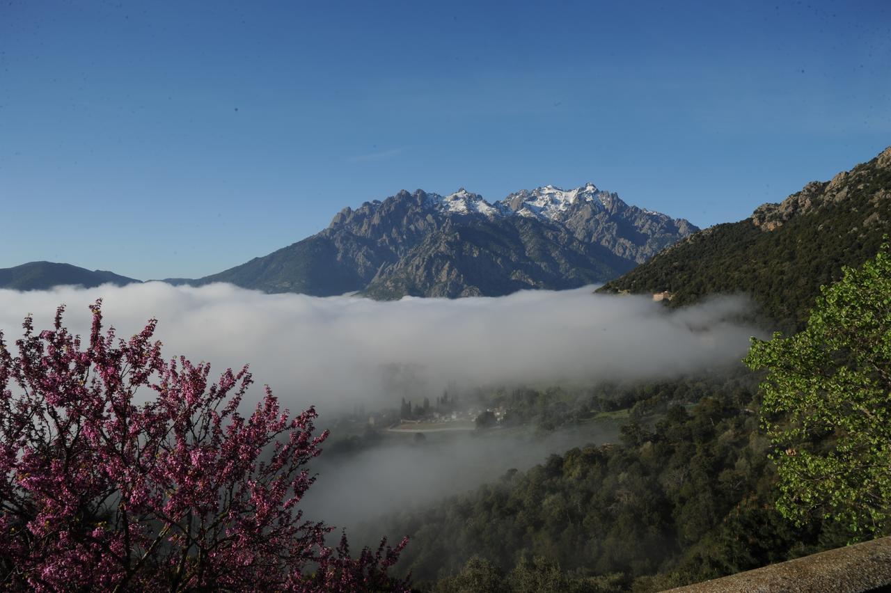 Bed and Breakfast La Ventulella Moltifao Exterior foto