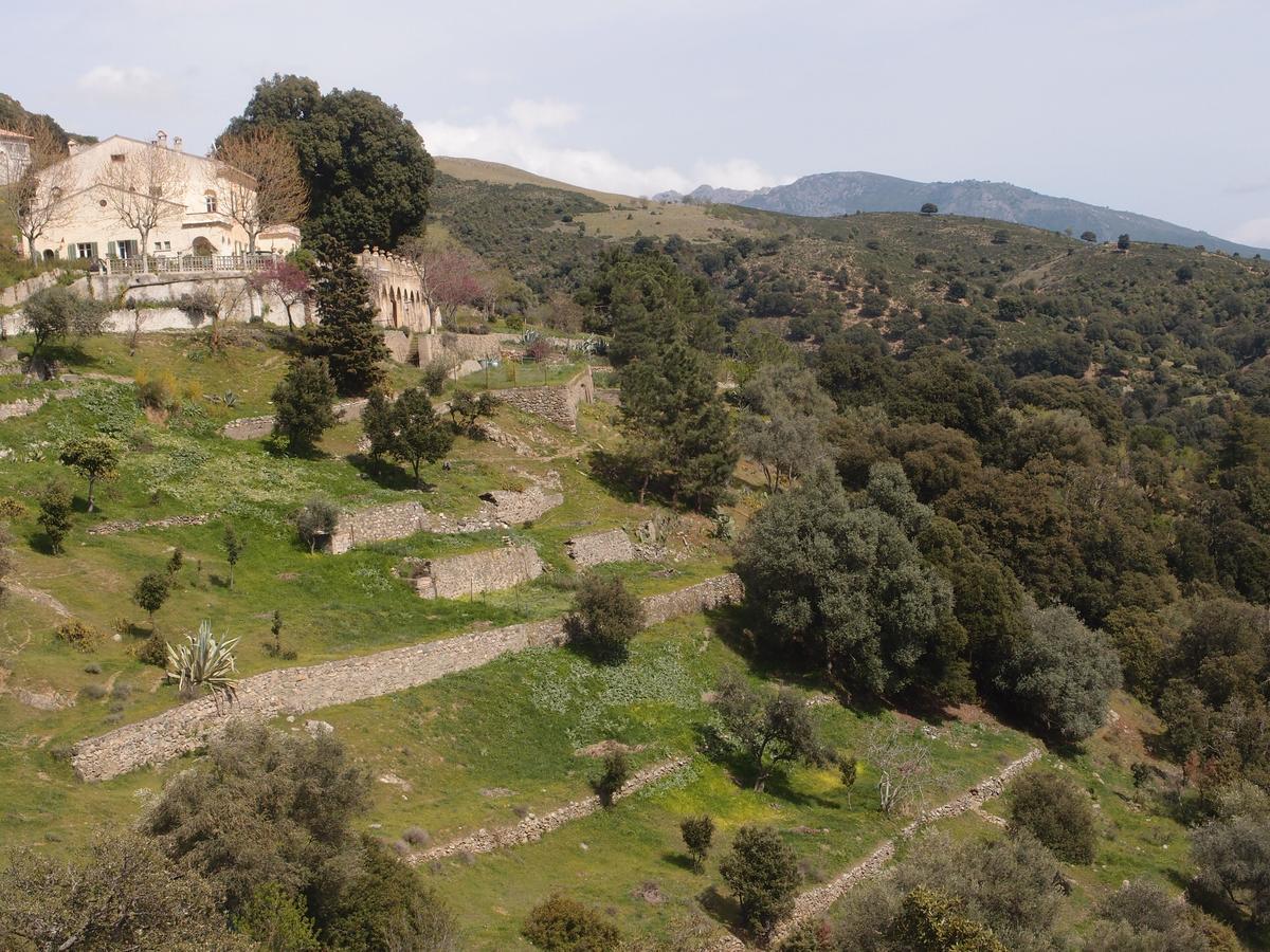 Bed and Breakfast La Ventulella Moltifao Exterior foto